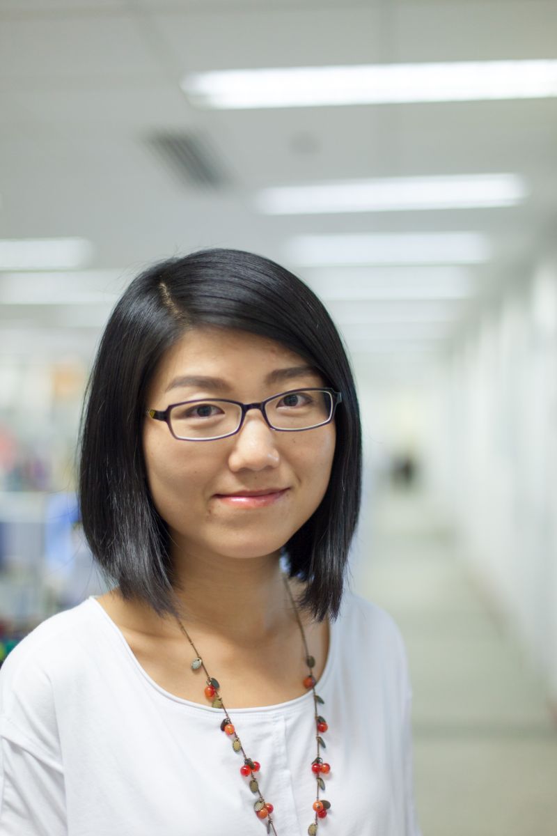 Prof. Cheng Qijin